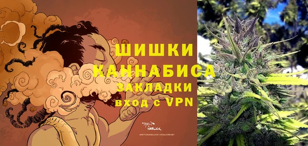 шишки Билибино
