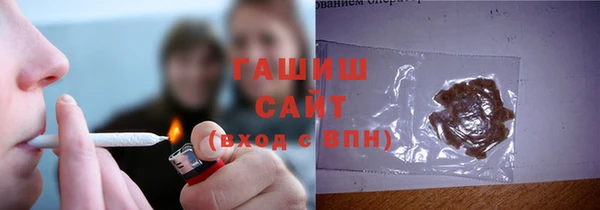 шишки Билибино