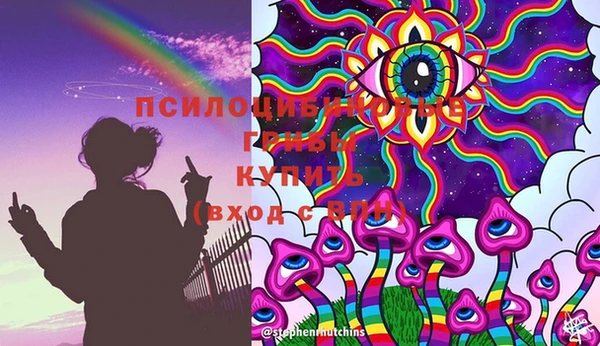 PSILOCYBIN Нязепетровск
